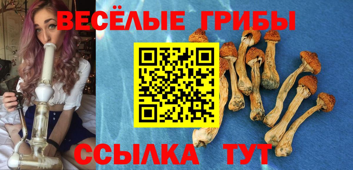 Псилоцибиновые грибы Psilocybine cubensis  Галлюциногенные грибы Psilocybine cubensis  Вход с VPN  Зеленогорск 