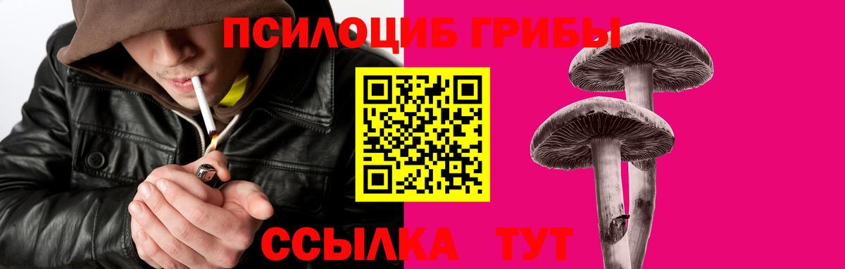 Галлюциногенные грибы прущие грибы Зеленогорск